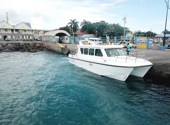 Bestyear 10.8 M Luxury Fiberglass Catamaran Fishing Boat Multipurpose Boat