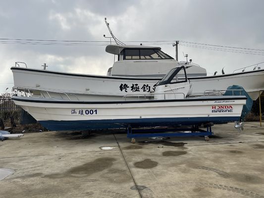 New Ready Fishing Panga Boat 26h with Engine for Sale