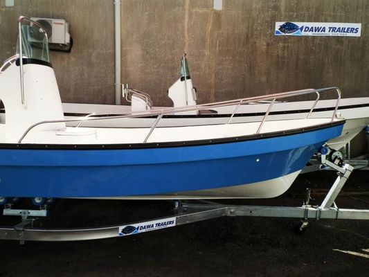 OEM SW Panga Boat 23 Fishing Boat