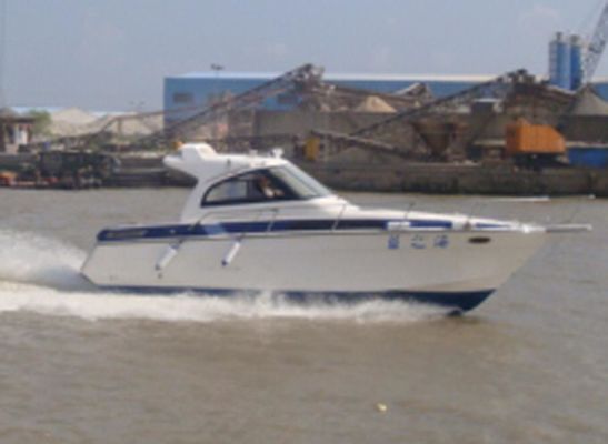 31ft Celebrity Luxury Yacht Boat for Fishing and Leisure